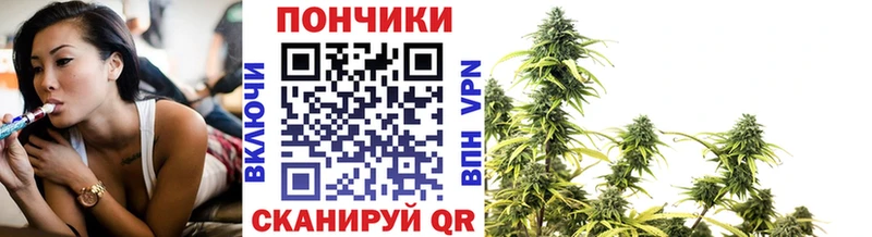 Где продают наркотики Сальск Cocaine  Псилоцибиновые грибы  МЕФ  гидра рабочий сайт  Alpha PVP 