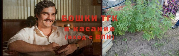 трава Аркадак